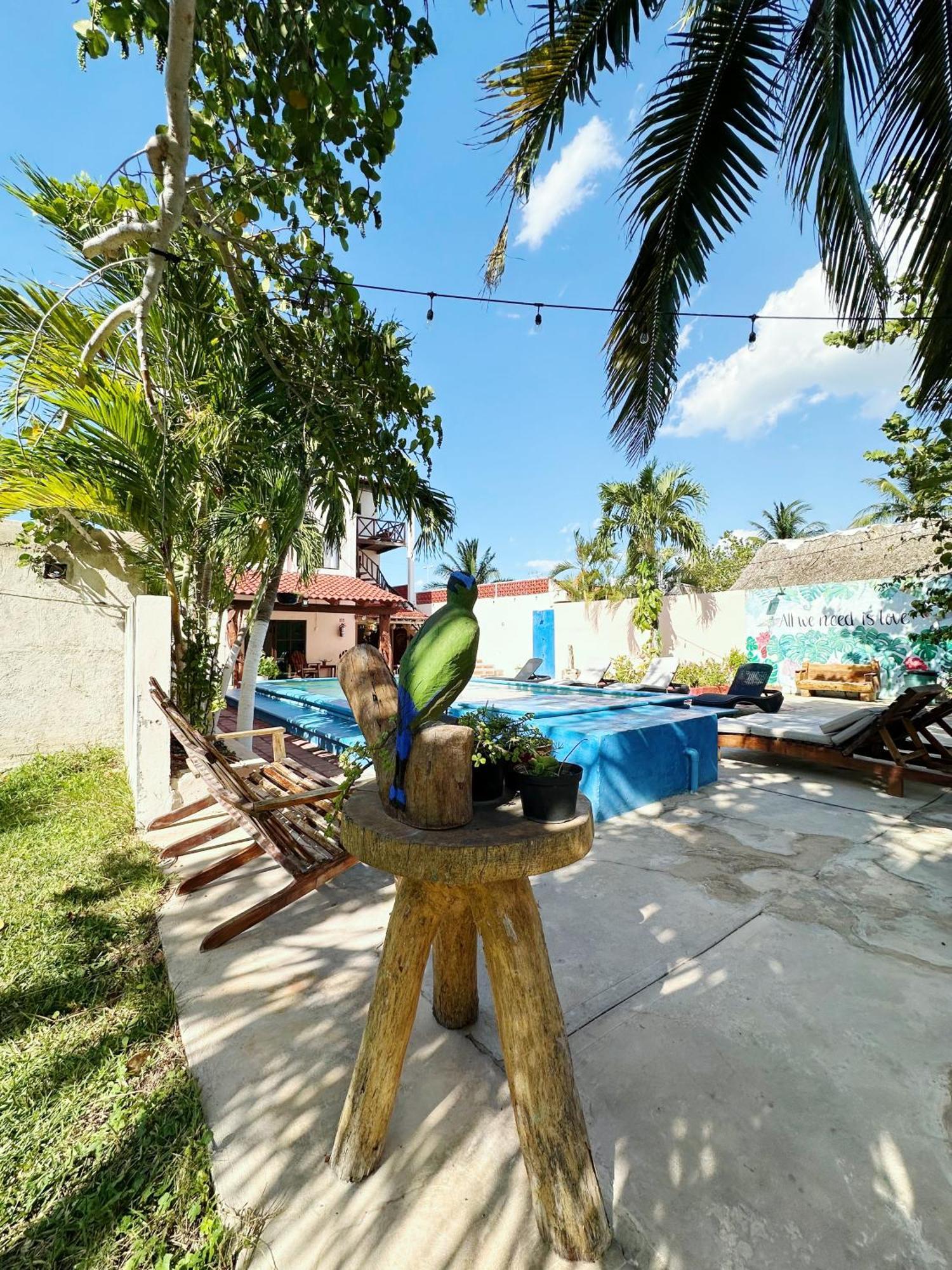 Posada El Perico Marinero Rio Lagartos Luaran gambar